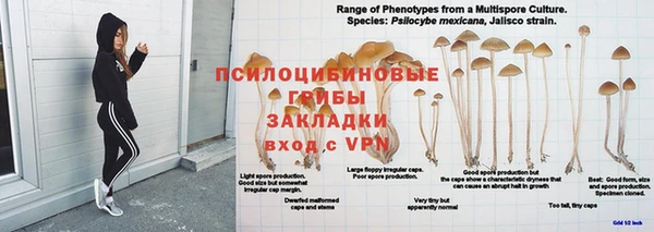 молекула духа Армянск