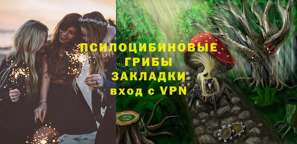твердый Аркадак