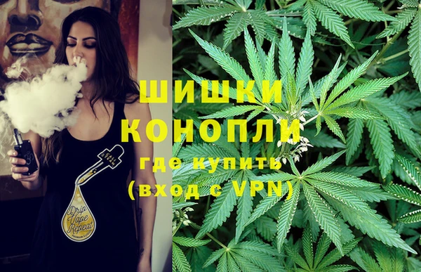 твердый Аркадак
