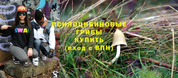 твердый Аркадак
