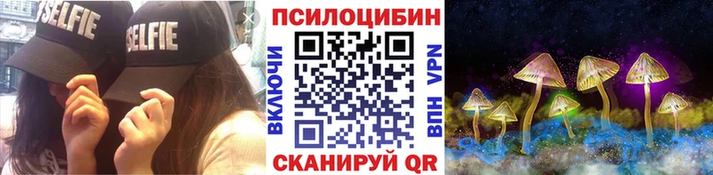 Псилоцибиновые грибы Psilocybe  Белая Калитва 